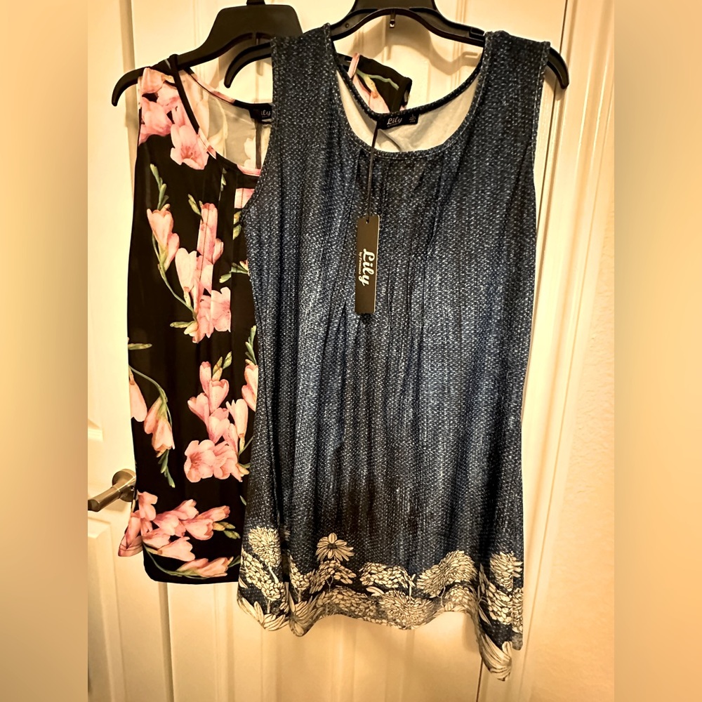 TWO NWT dresses!